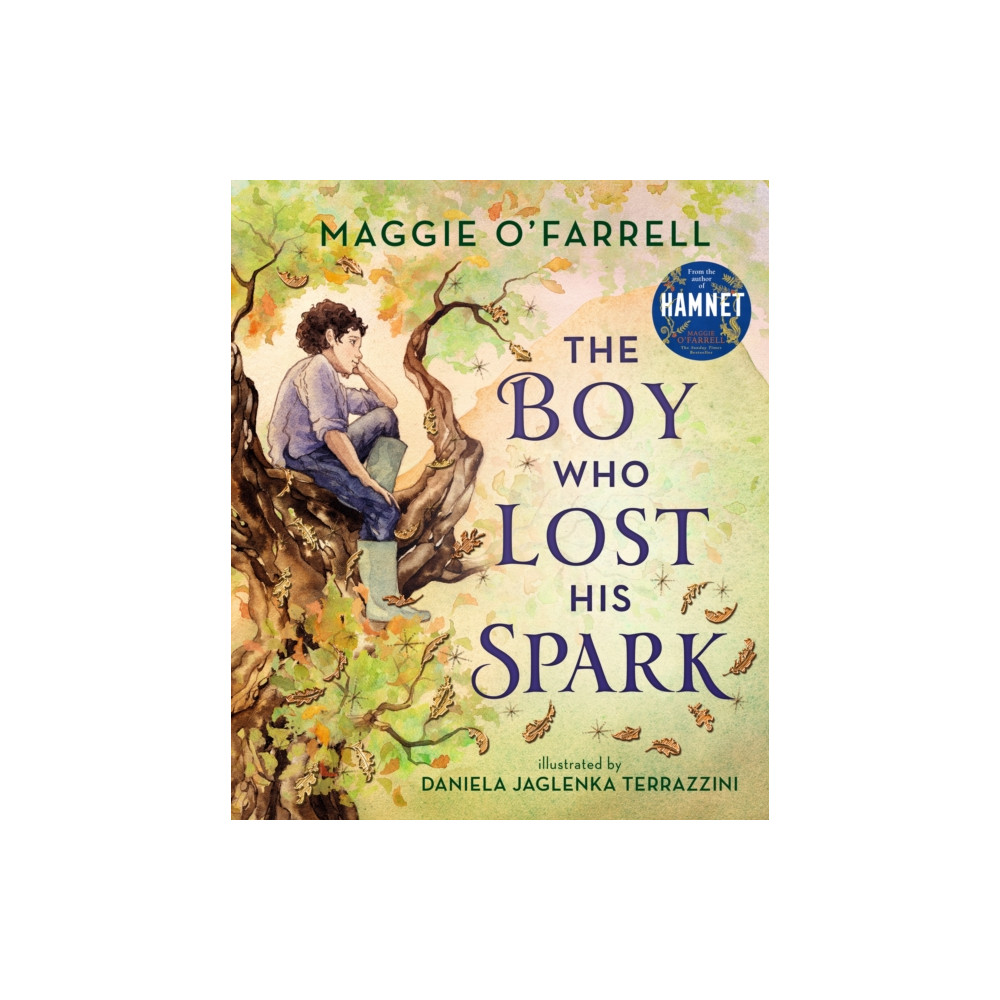 Produktbild för The Boy Who Lost His Spark (inbunden, eng)