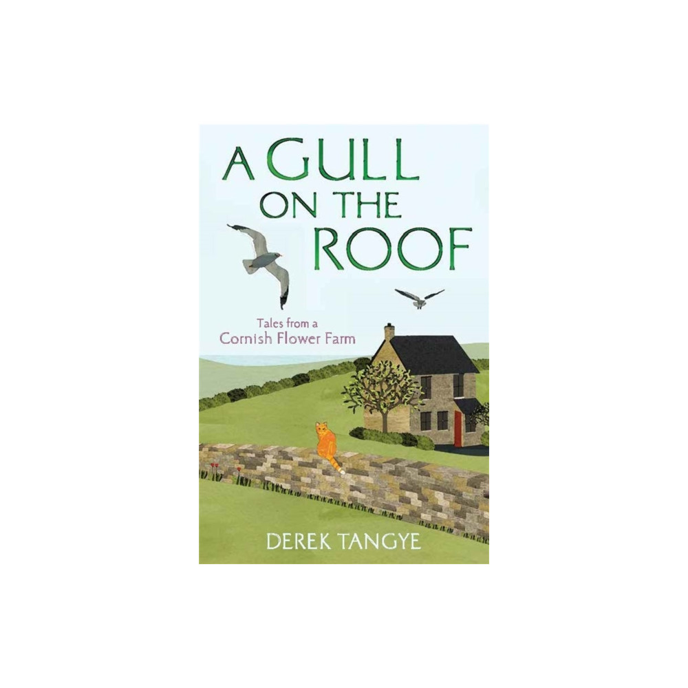 Produktbild för A Gull on the Roof (häftad, eng)
