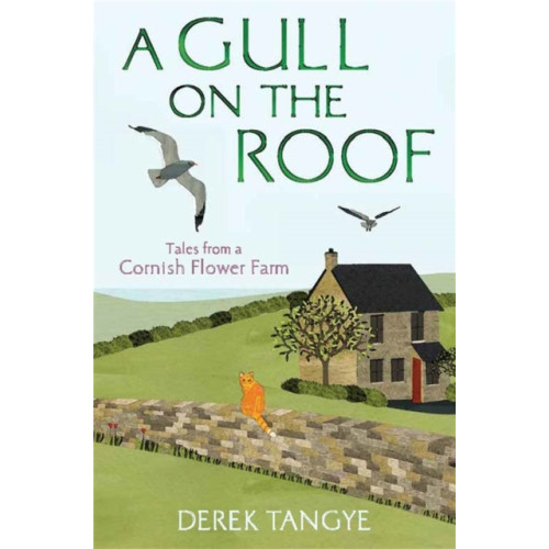 Little, Brown Book Group A Gull on the Roof (häftad, eng)