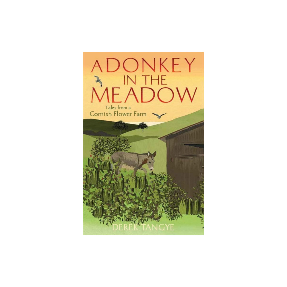 Produktbild för A Donkey in the Meadow (häftad, eng)