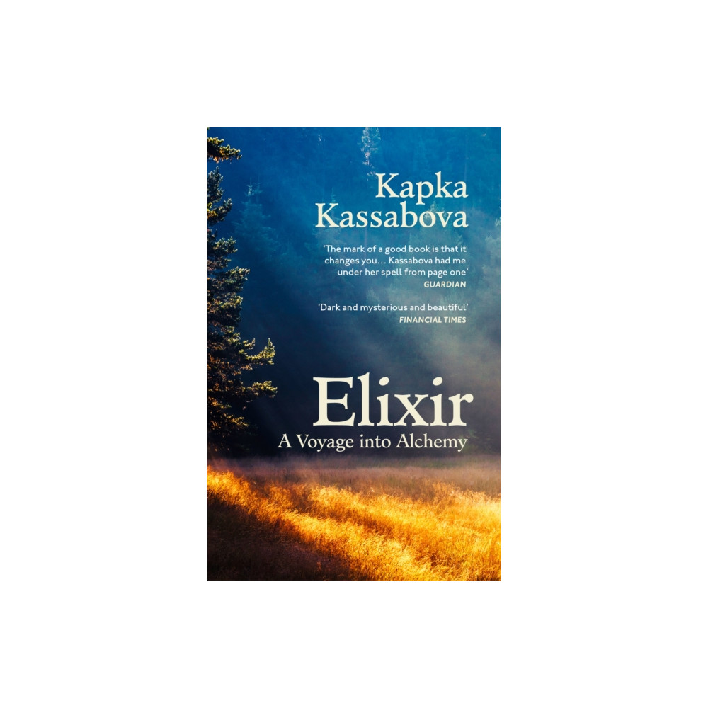 Produktbild för Elixir (häftad, eng)