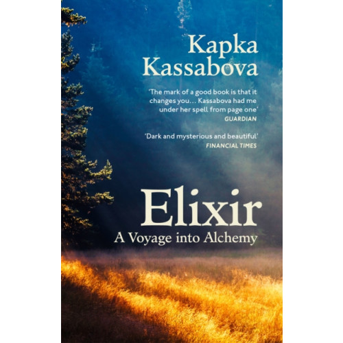 Vintage Publishing Elixir (häftad, eng)