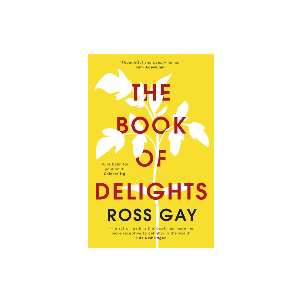 Produktbild för The Book of Delights (häftad, eng)