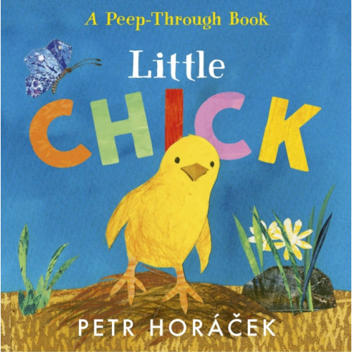 Walker Books Ltd Little Chick (bok, board book, eng)