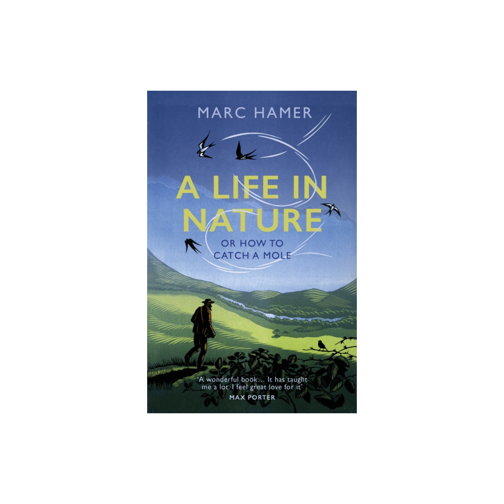 Produktbild för A Life in Nature (häftad, eng)