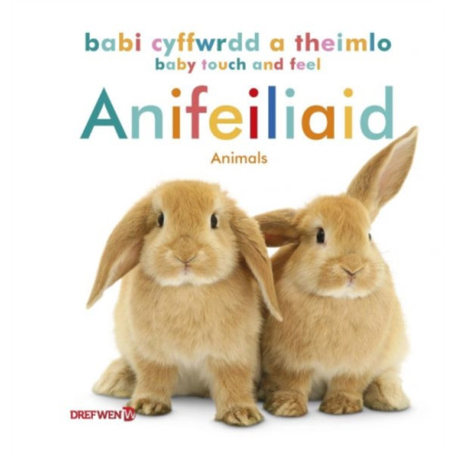 Dref Wen Babi Cyffwrdd a Theimlo: Anifeiliaid / Baby Touch and Feel: Animals (inbunden, eng)