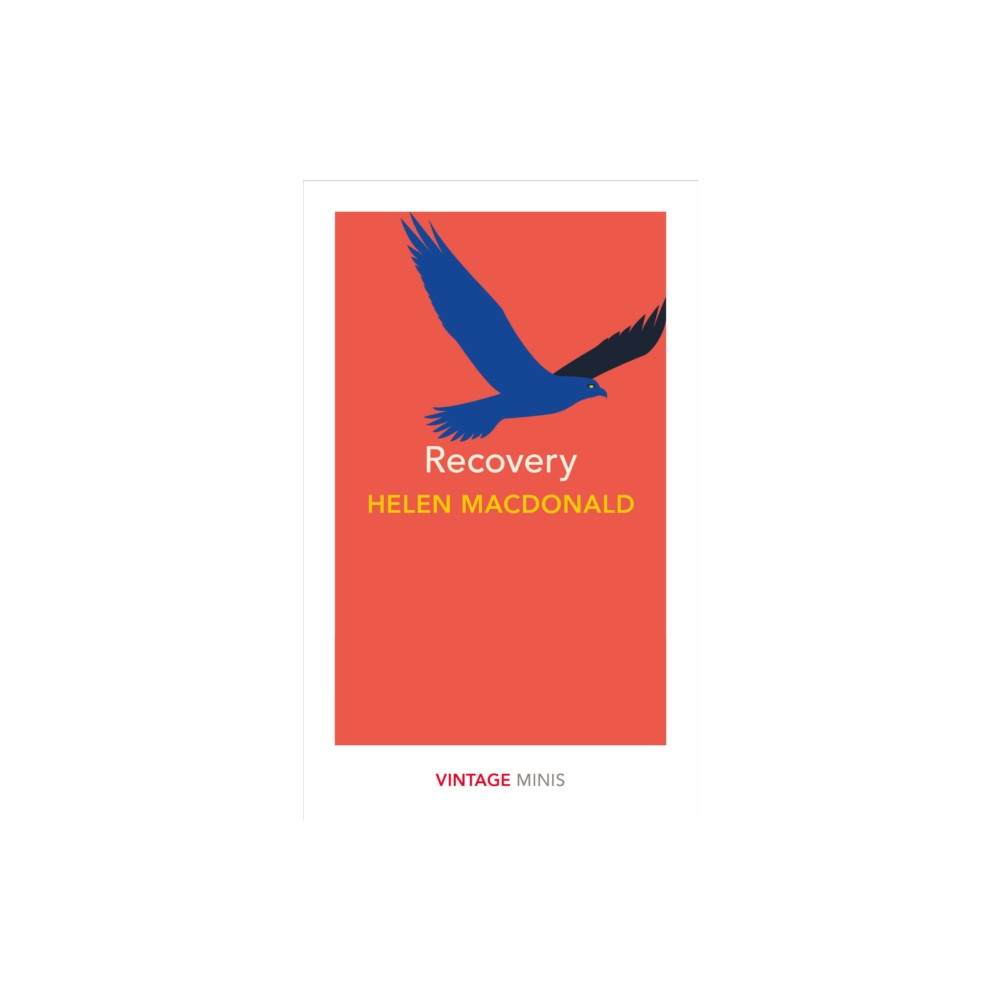 Produktbild för Recovery (häftad, eng)