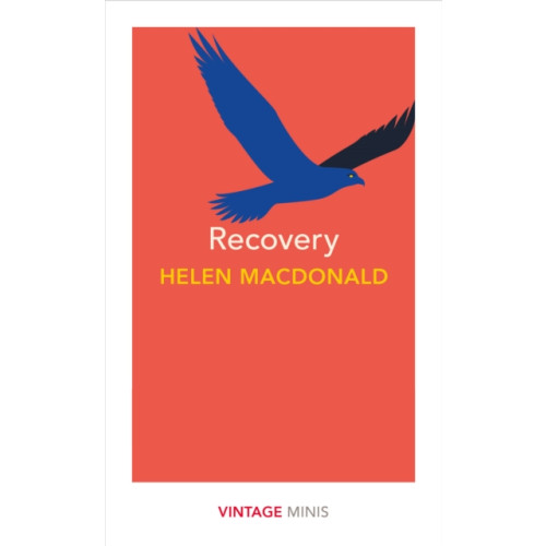 Vintage Publishing Recovery (häftad, eng)