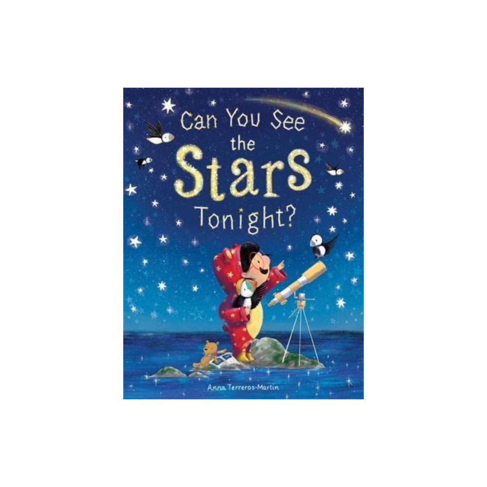 Produktbild för Can You See the Stars Tonight? (häftad, eng)
