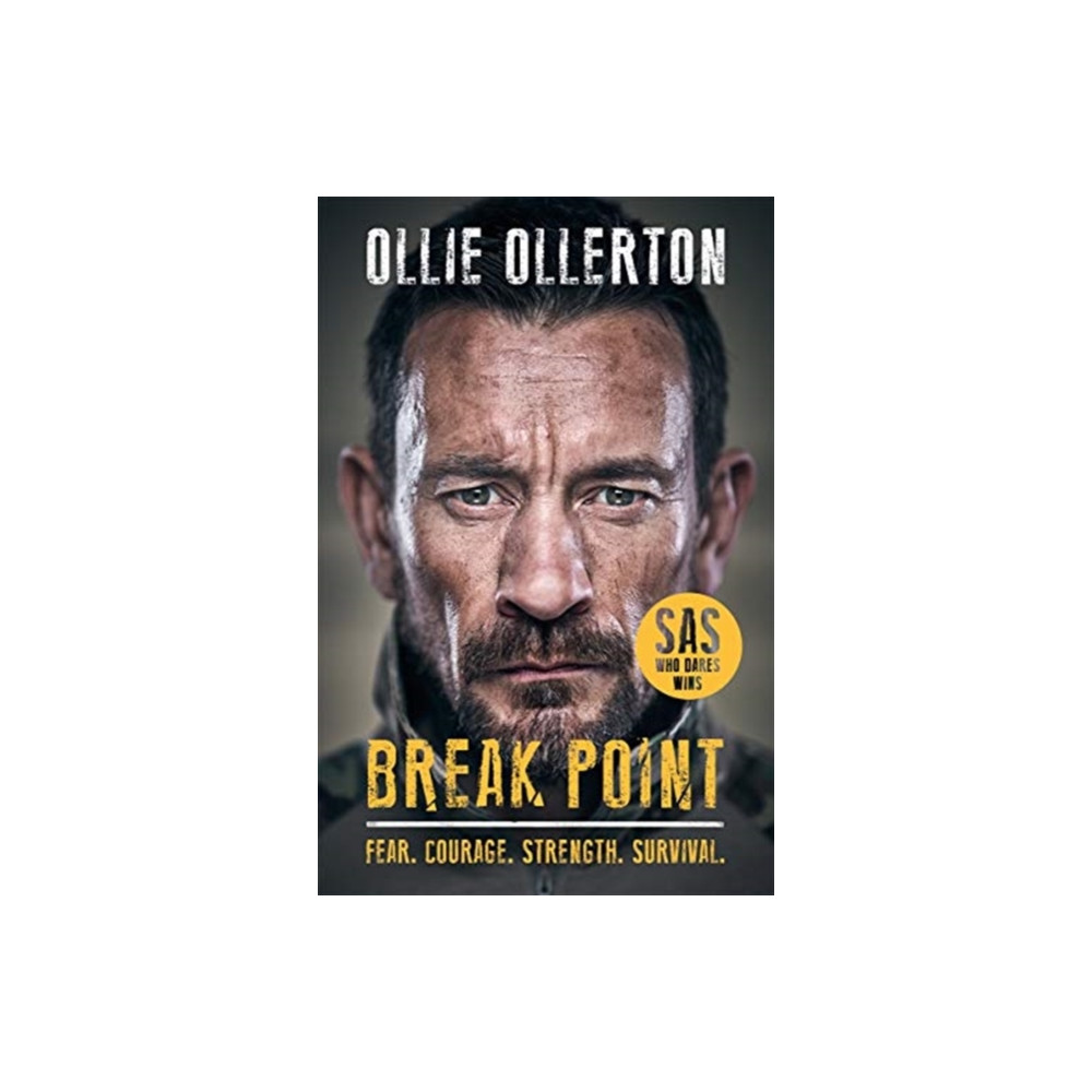 Produktbild för Break Point (häftad, eng)