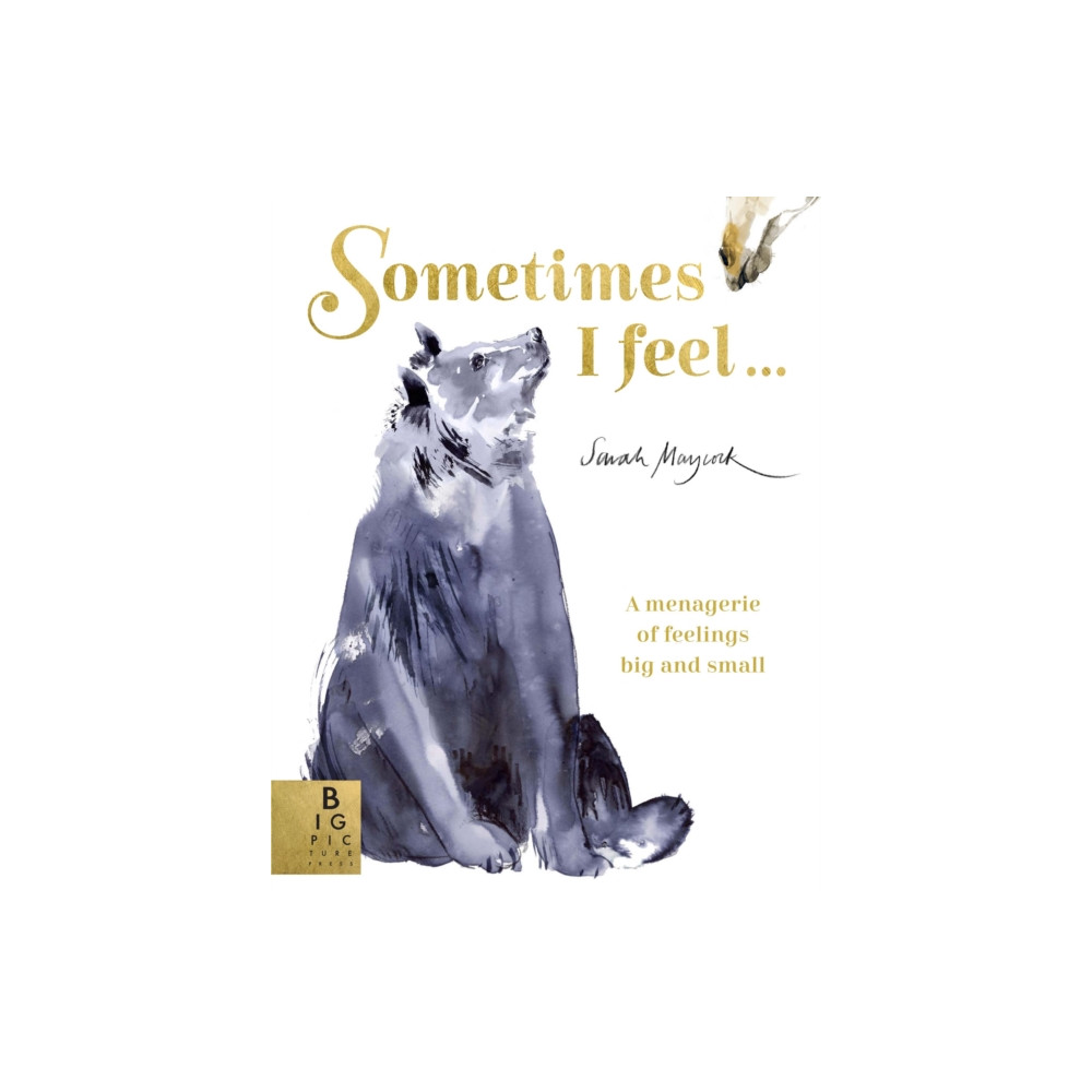 Produktbild för Sometimes I Feel... (häftad, eng)