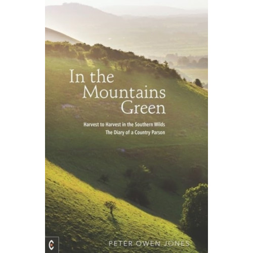 Clairview Books In the Mountains Green (häftad, eng)