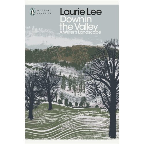 Penguin books ltd Down in the Valley (häftad, eng)