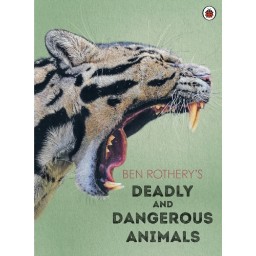 Penguin Random House Children's UK Ben Rothery's Deadly and Dangerous Animals (inbunden, eng)