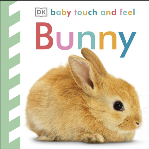 Dorling Kindersley Ltd Baby Touch and Feel Bunny (bok, board book, eng)
