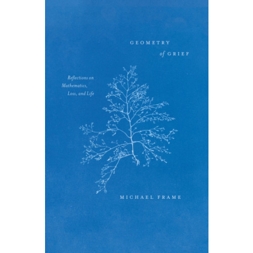 The university of chicago press Geometry of Grief (häftad, eng)