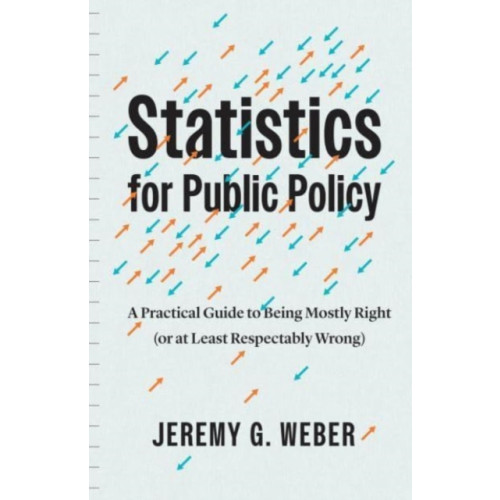 The university of chicago press Statistics for Public Policy (häftad, eng)