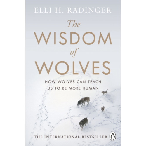 Penguin books ltd The Wisdom of Wolves (häftad, eng)