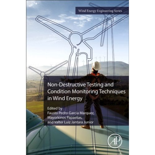 Elsevier Science & Technology Non-Destructive Testing and Condition Monitoring Techniques in Wind Energy (häftad, eng)