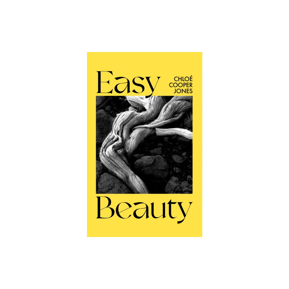 Produktbild för Easy Beauty (inbunden, eng)