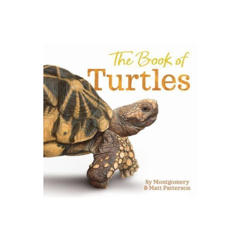 Produktbild för The Book of Turtles (inbunden, eng)