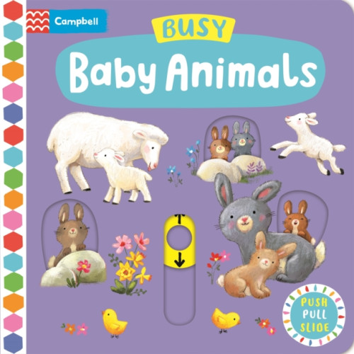 Pan Macmillan Busy Baby Animals (bok, board book, eng)