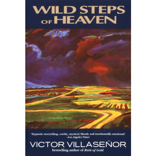 Random House USA Inc Wild Steps of Heaven (häftad, eng)