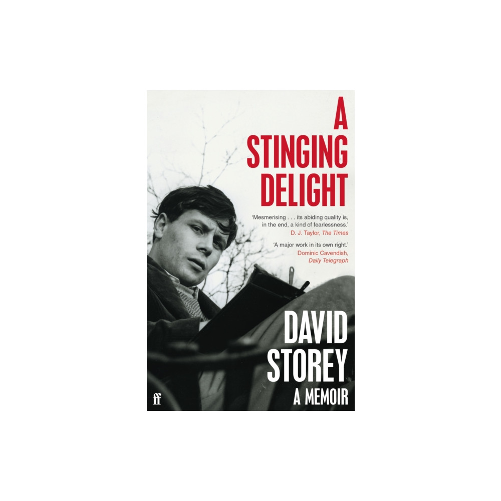 Produktbild för A Stinging Delight (häftad, eng)