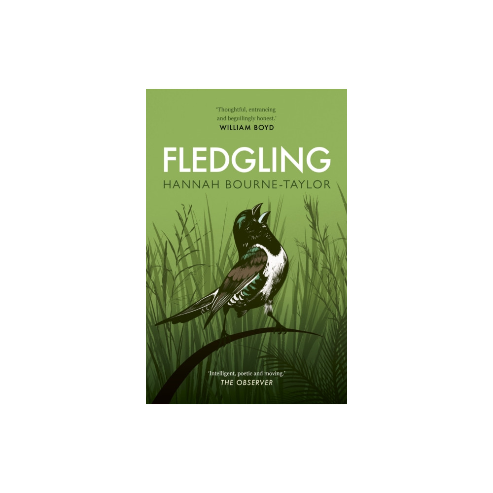 Produktbild för Fledgling (häftad, eng)