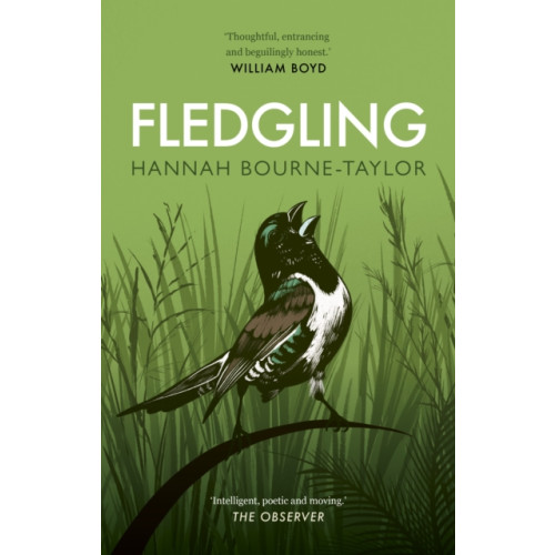 Quarto Publishing Plc Fledgling (häftad, eng)