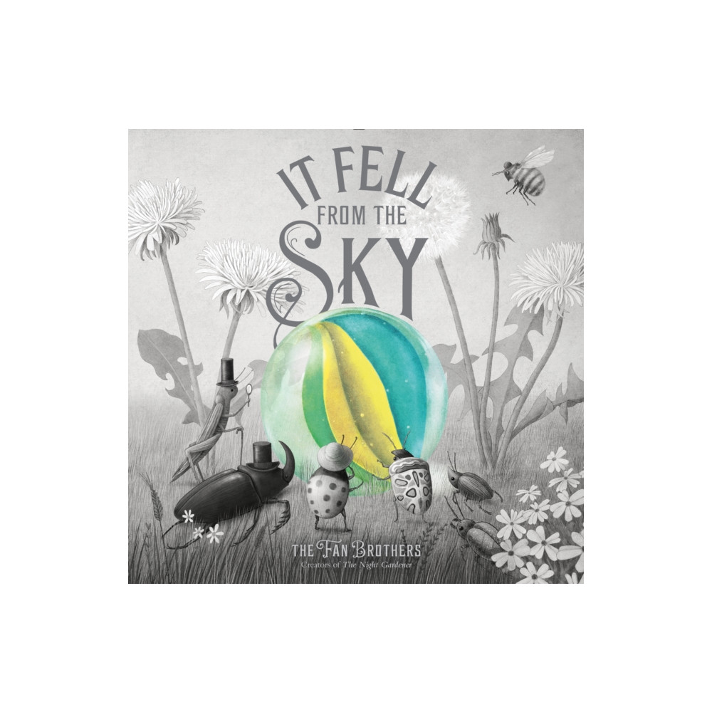 Produktbild för It Fell From The Sky (inbunden, eng)