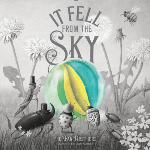 Quarto Publishing Plc It Fell From The Sky (inbunden, eng)