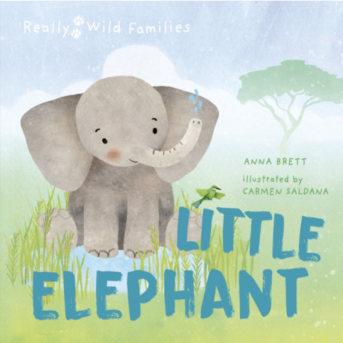 Quarto Publishing Plc Little Elephant (inbunden, eng)