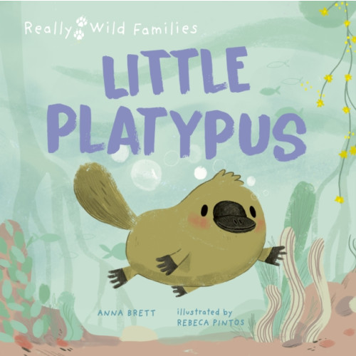 Quarto Publishing Plc Little Platypus (inbunden, eng)