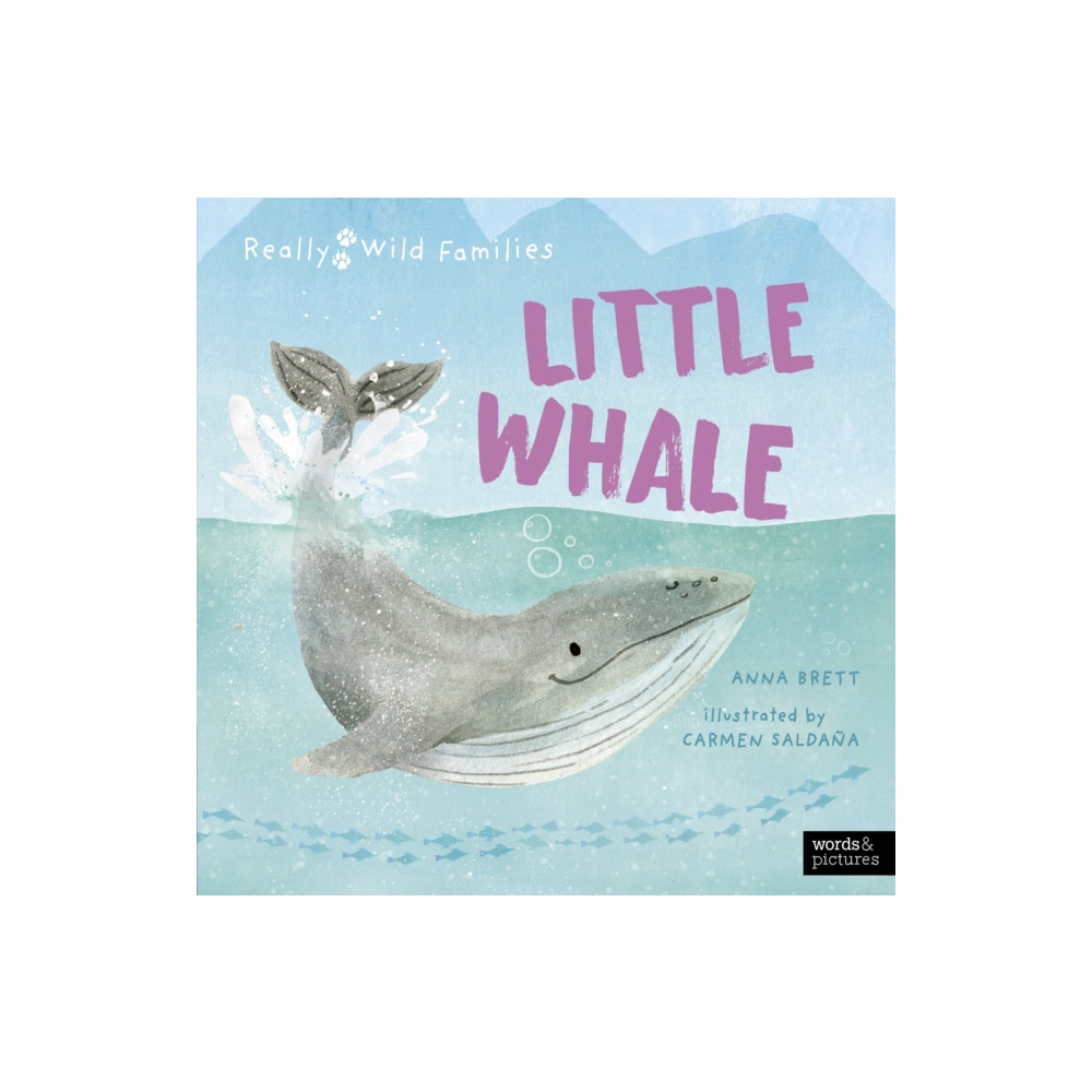 Produktbild för Little Whale (inbunden, eng)