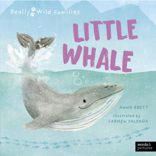 Quarto Publishing Plc Little Whale (inbunden, eng)