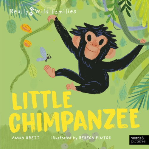 Quarto Publishing Plc Little Chimpanzee (inbunden, eng)