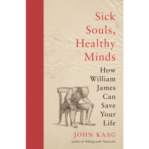 Princeton University Press Sick Souls, Healthy Minds (häftad, eng)