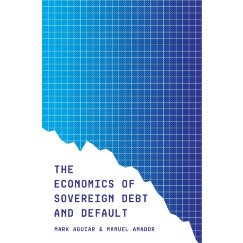 Princeton University Press The Economics of Sovereign Debt and Default (häftad, eng)