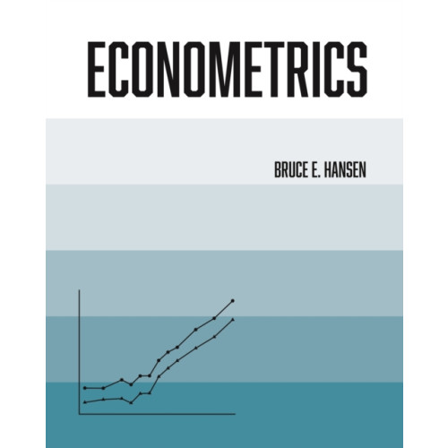 Princeton University Press Econometrics (inbunden, eng)