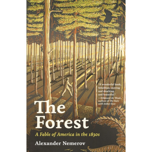 Princeton University Press The Forest (inbunden, eng)