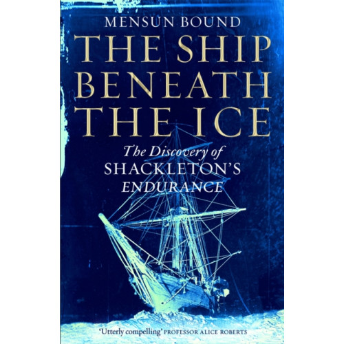 Pan Macmillan The Ship Beneath the Ice (häftad, eng)