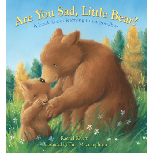 Spck publishing Are You Sad, Little Bear? (inbunden, eng)