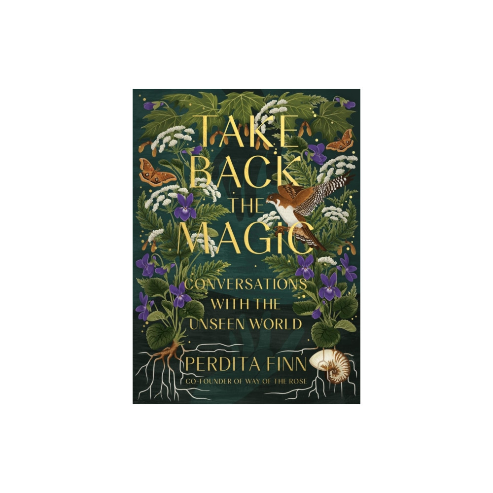 Produktbild för Take Back the Magic (inbunden, eng)