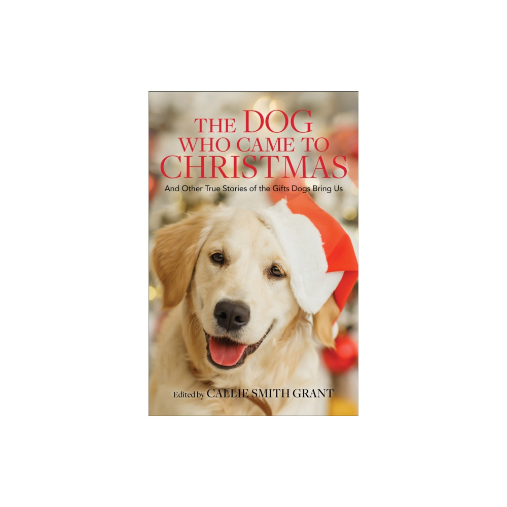 Produktbild för The Dog Who Came to Christmas – And Other True Stories of the Gifts Dogs Bring Us (häftad, eng)