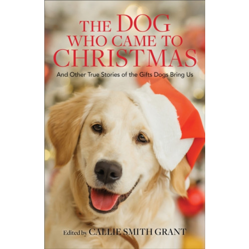 Baker publishing group The Dog Who Came to Christmas – And Other True Stories of the Gifts Dogs Bring Us (häftad, eng)