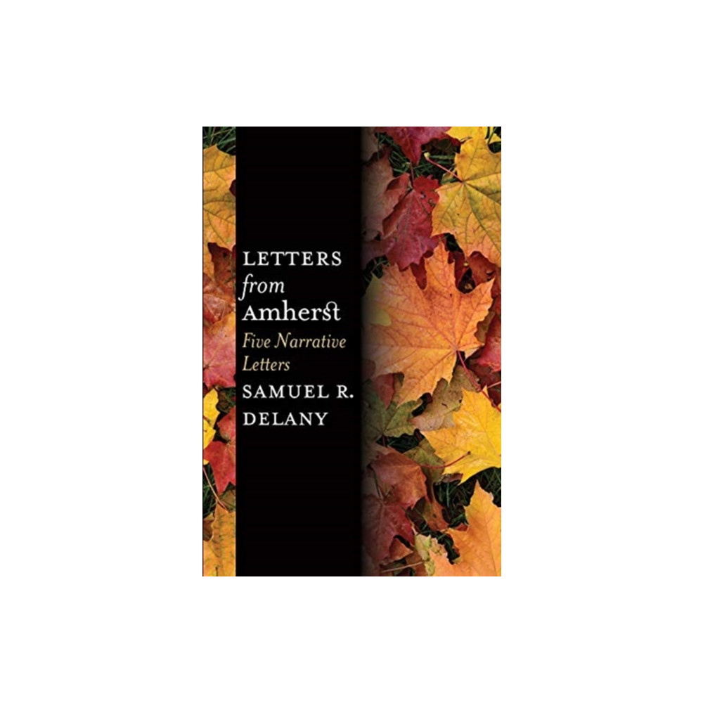 Produktbild för Letters from Amherst (häftad, eng)