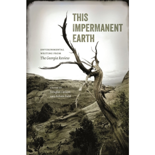 University of Georgia Press This Impermanent Earth (häftad, eng)