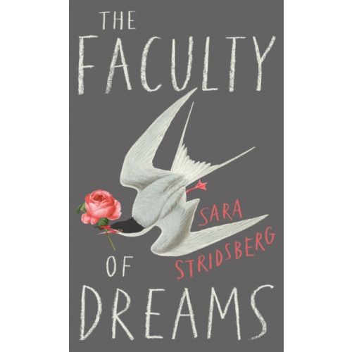 Quercus Publishing The Faculty of Dreams (häftad, eng)