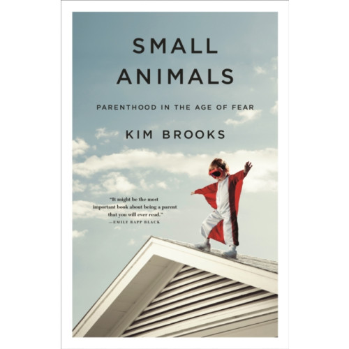St Martin's Press Small Animals (inbunden, eng)